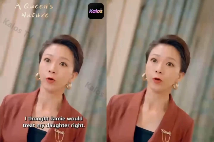 Downloaded video cleanup demo